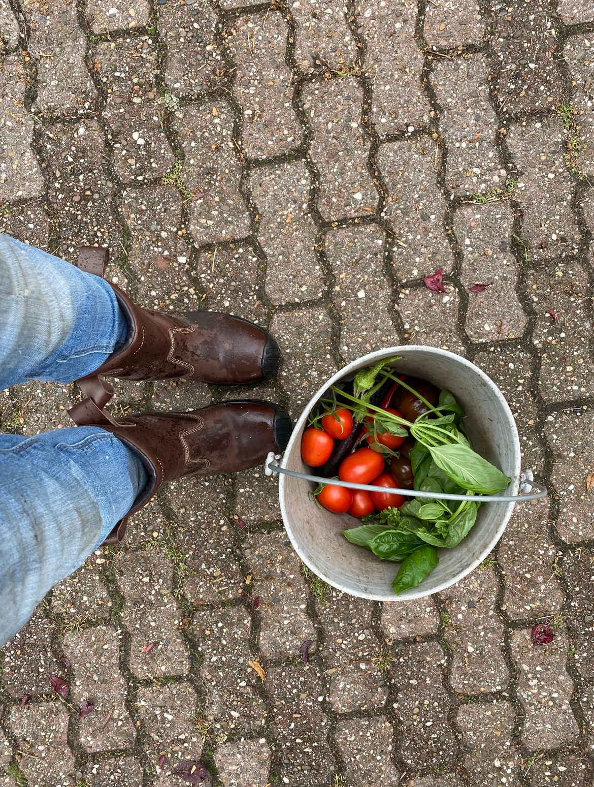 Trauma Informed op de zorgboerderij