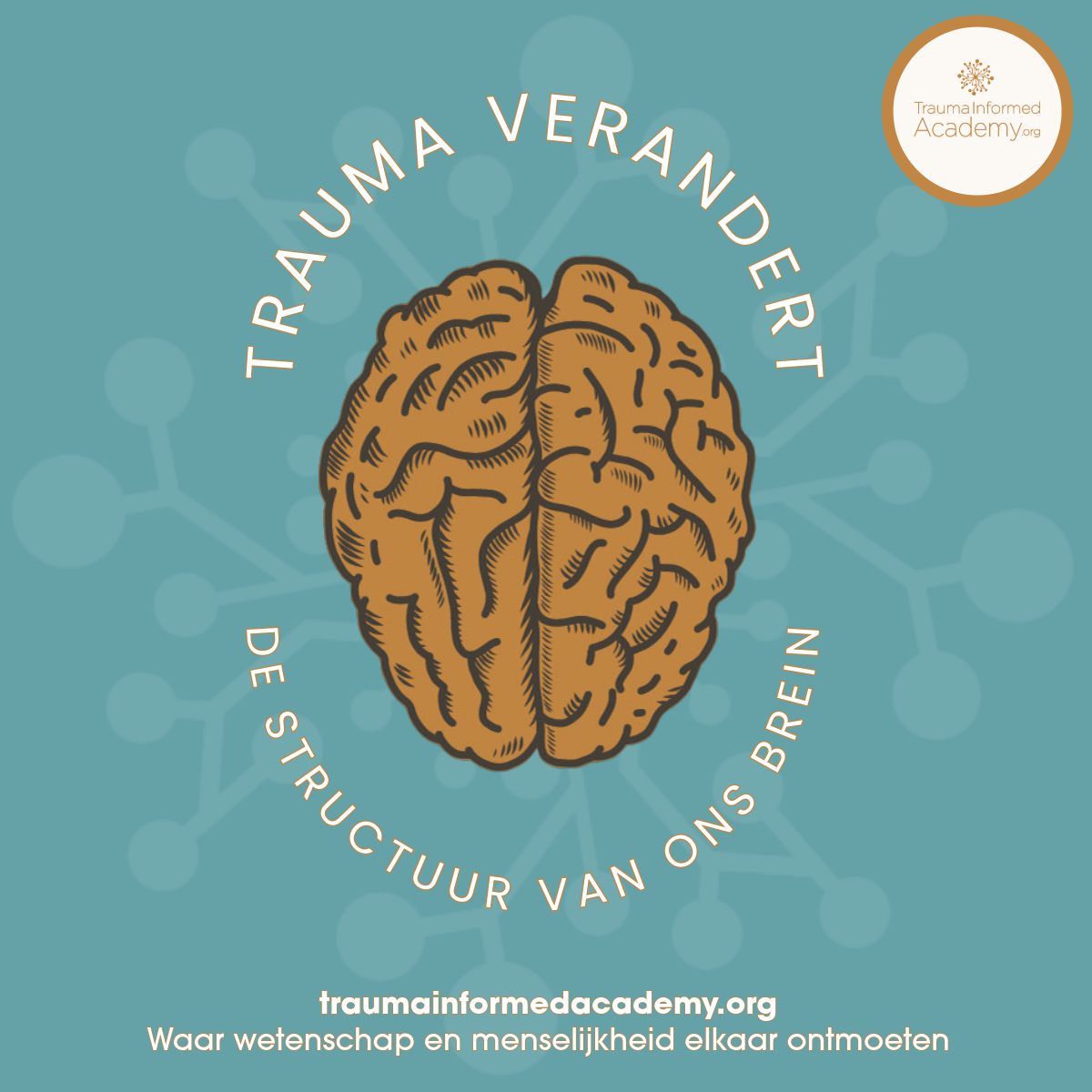 Trauma kan je brein fundamenteel traumatisch vormen en veranderen. Een constante staat van paraatheid, zelfs wanneer dat niet meer nodig is.