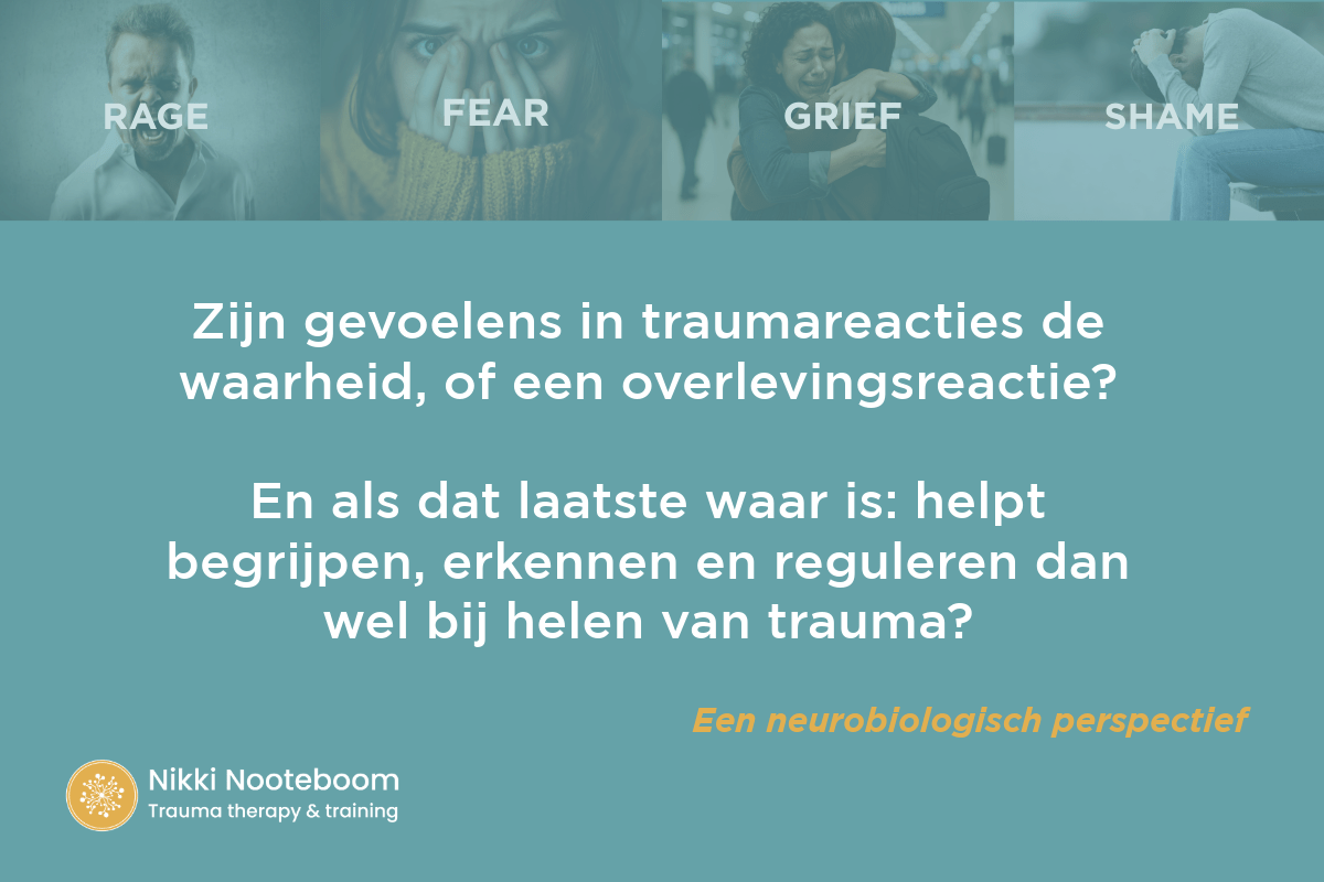 Neurobiologisch helen van trauma