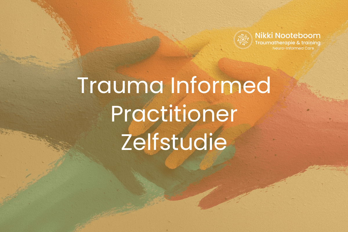 Trauma Informed Practitioner training Trauma Informed Practitioner training