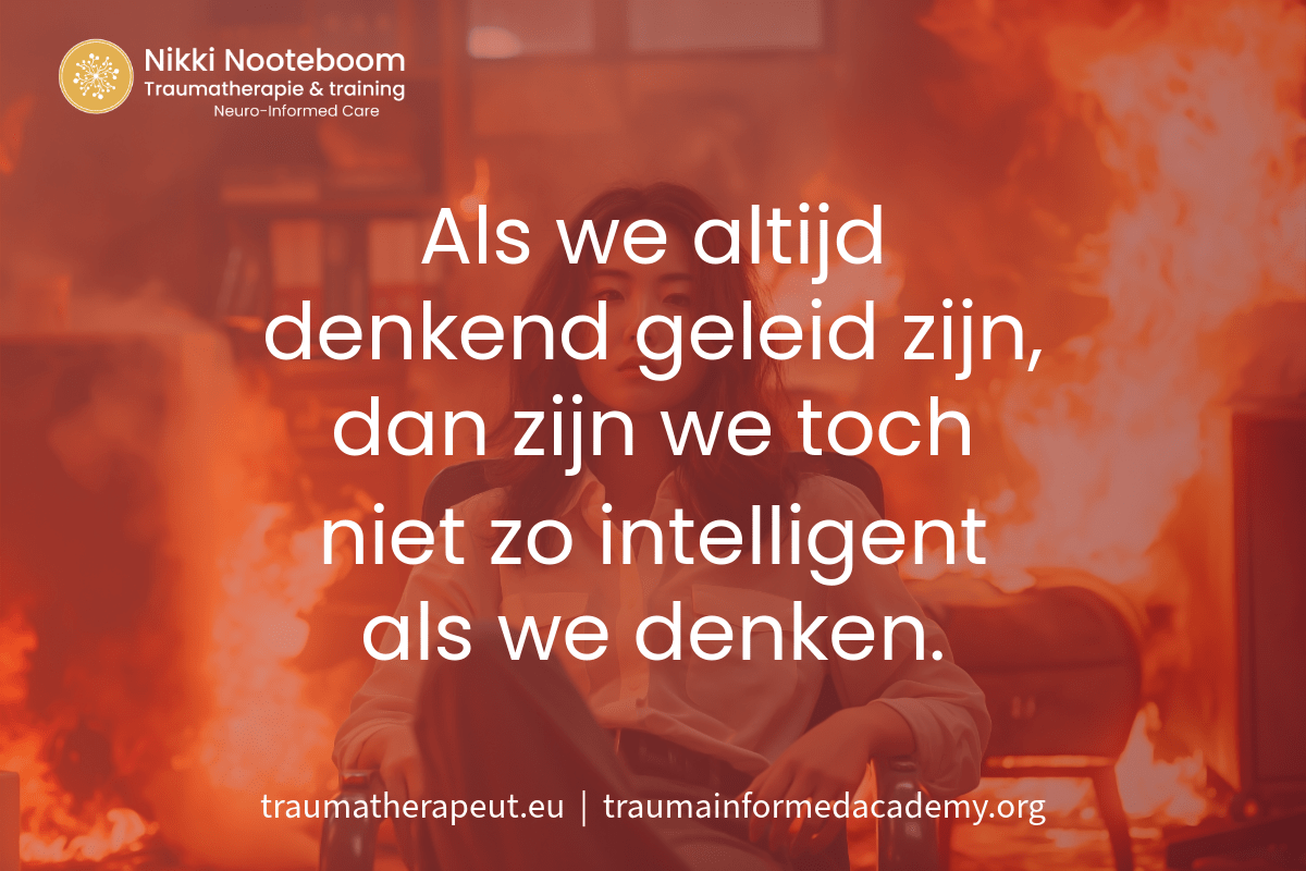 Social sjablonen sept 24-11 Intelligentie of organisatie