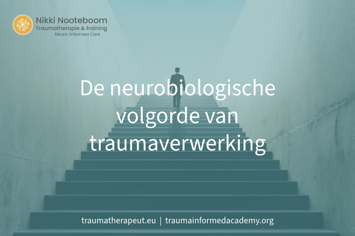 Schema van neurobiologische organisatie bij trauma en integratie